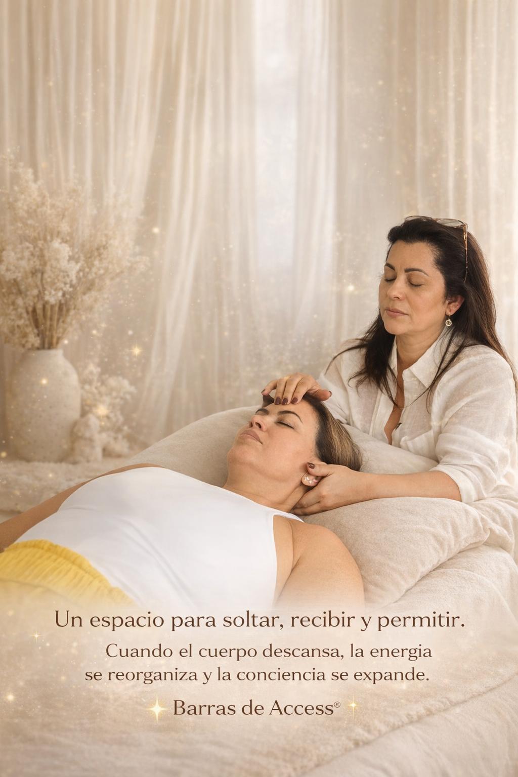 ¿Qué son las Barras de Access?